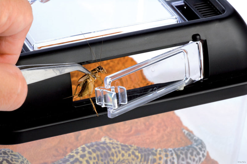 Exo Terra Breeding Box, Plastic Reptile Terrarium, Small - PawsPlanet Australia