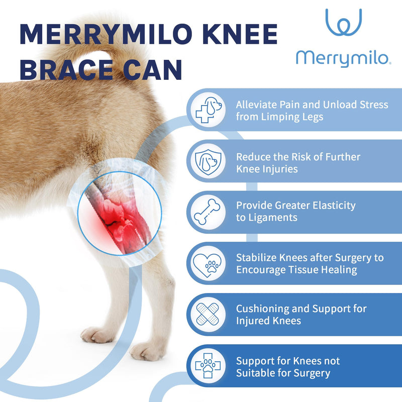 Dog Knee Brace, Torn ACL Hind Leg, Dog Hip Brace, Dog Leg Braces, Cruciate Care Knee Brace for Dogs, Size: L - PawsPlanet Australia