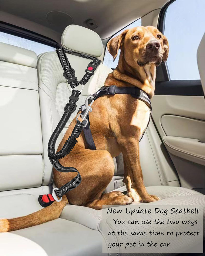 Dog Seat Belt,Updated Dual-use Dog Seatbelt for Vehicle Headrests, Dog Car Leash - Bungee Retractable Adjustable for Your Pet, Pet Safety Car Harness for Dogs Heavy Duty & Elastic (Black, Medium) Black - PawsPlanet Australia