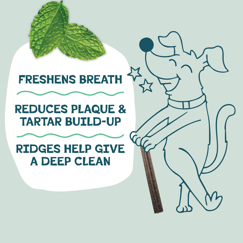 Shameless Pets Blueberry & Mint Dental Chews for Dogs, 32 Chews - Natural Dog Teeth Cleaning Treats with Fresh Breath Benefits | Grain-Free Dental Sticks for Small, Medium & Large Dogs The Tooth Berry 1.75 Pound (Pack of 1)