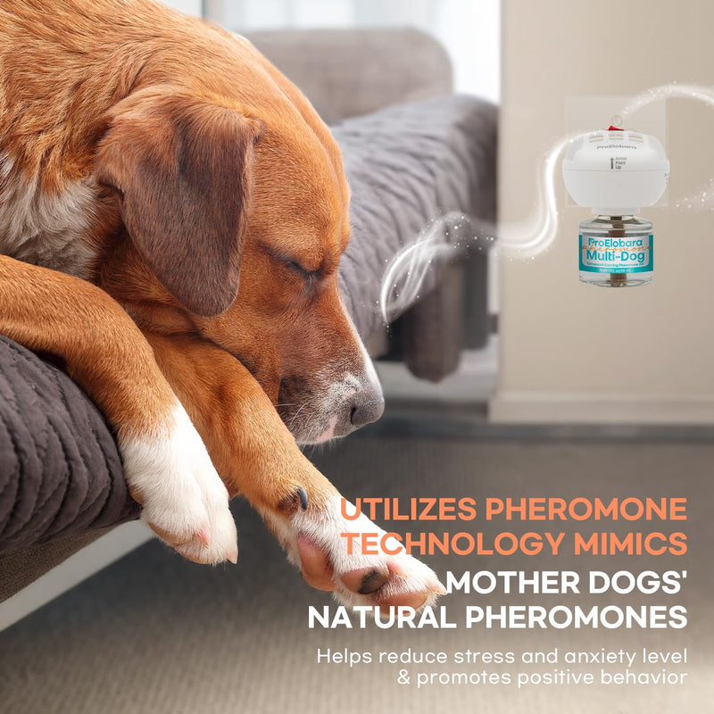 Dog Calming Pheromone Diffuser: Dog Calming Pheromones Plug Diffuser - Reduces Stress & Anxiety Calming Pheromone Diffuser for Dogs - Calm Dogs 60 Supply BlueW