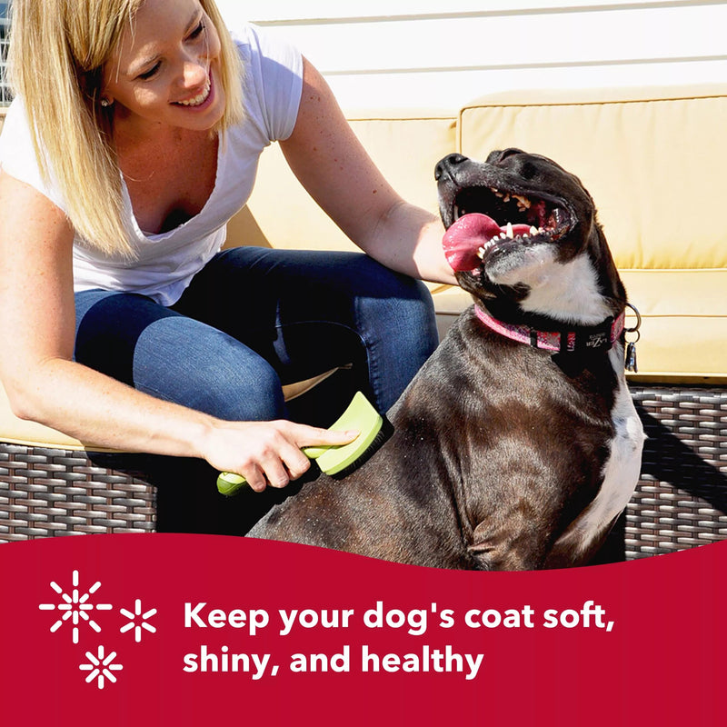 Coastal Pet Safari Dog De-Matting Comb & Slicker Dog Brush for Shedding - Comb & Brush for Dogs with Medium to Long Hair - Easy Detangling - Bundle - PawsPlanet Australia