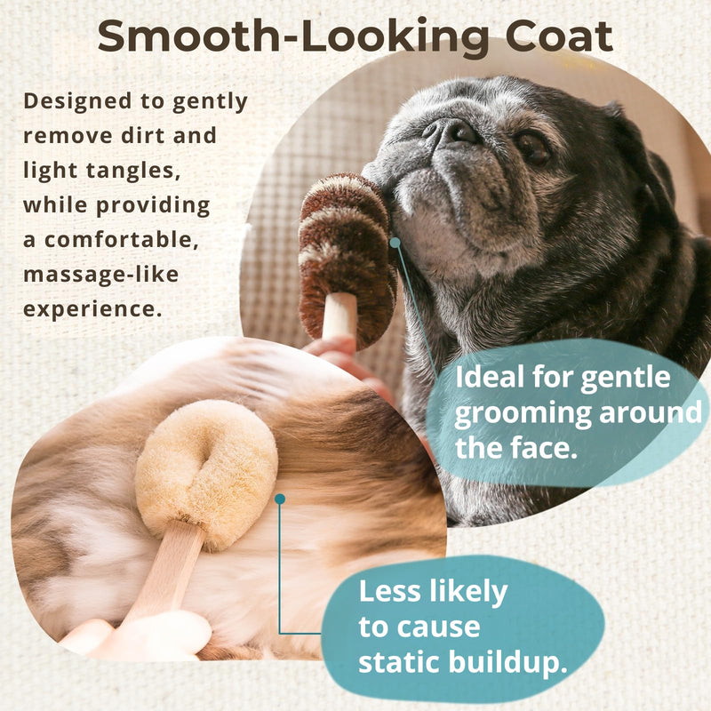 Natural Tawashi Dog Grooming & Massage Brush – Made in Japan, Gentle Palm Fiber Brush for Dogs, Relaxing Skin Stimulation, Low Static, Wooden Handle, Daily Dog Care Tool (Large Dog) Large dog