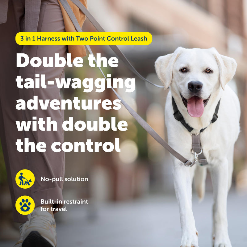 PetSafe 3-in-1 Harness with Two-Point Control Leash - Custom Fit Durable Obedience Gear for Gentle Behavior Training to Reduce Leash Pulling - Breathable Padded Design - Large - Black Large (Pack of 1) - PawsPlanet Australia