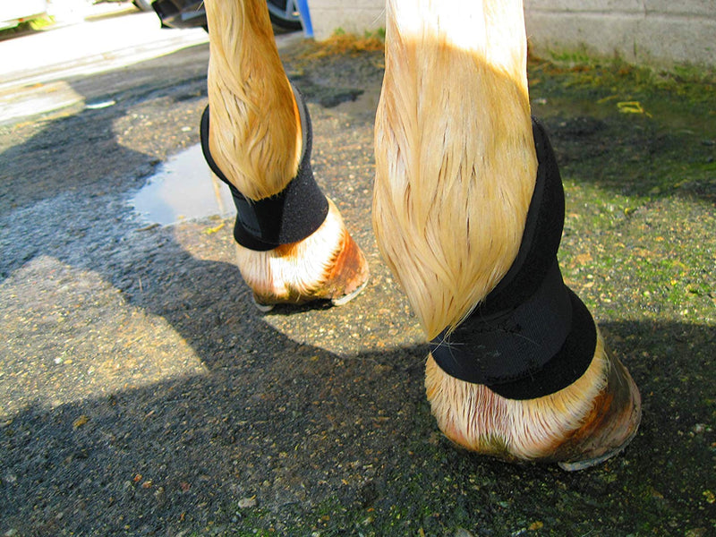Bedsore Boots for Horses -Equine Leg Protection for Pressure Sores & Ulcers- Neoprene Stall Boots, Heal Wounds Faster, Easy On/Off, Washable & Air-Dry - PawsPlanet Australia