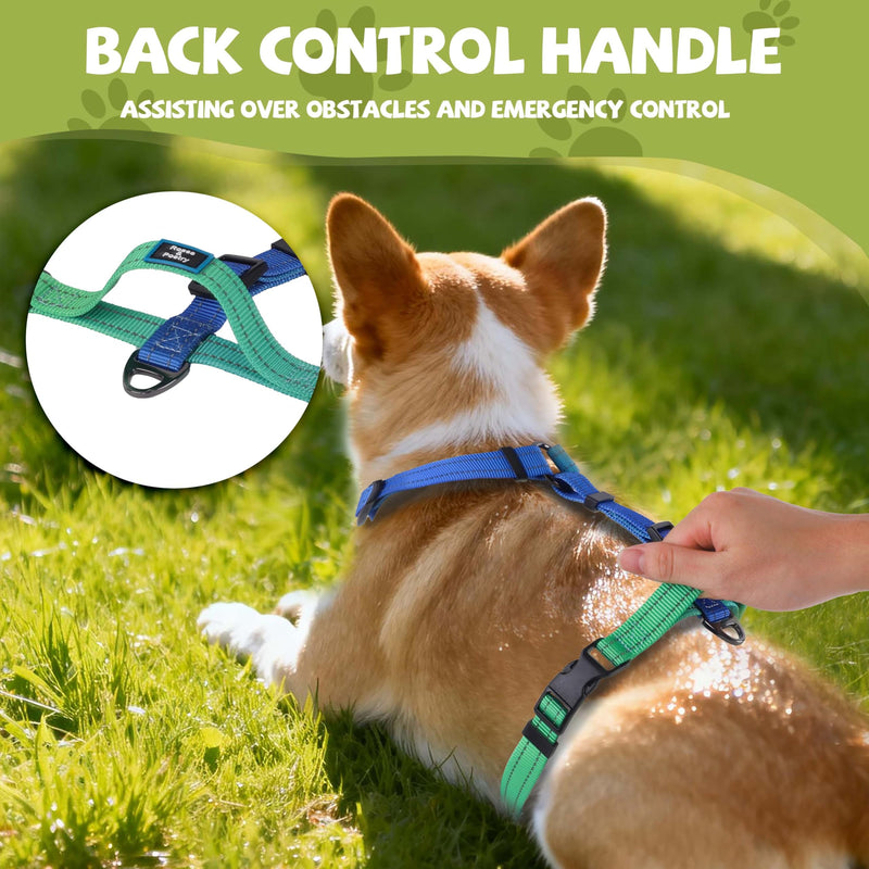 Roses&Poetry Dog Harness for Large Dogs, 6 Point Adjustable Fit No Pull Harness with Handle for Control and Easy Walking, Reflective Pet Halter Harnesses（Bluegreen-L） L BlueGreen（Harness Only Without Leash） - PawsPlanet Australia
