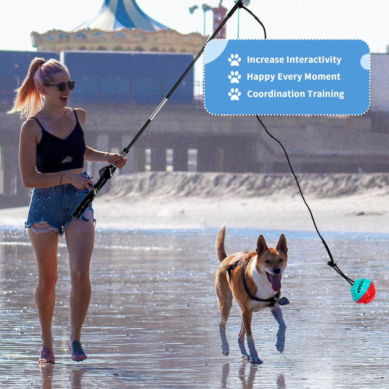 Flirt Pole for Dogs, Interactive Toys Tug-of-war for Dogs, Removable 2 Pcs Metal Dog Training Pole, Chase Toys with Rope Chewing Sticks, for Outdoor Exercise & Training for Small Medium Large Dogs - PawsPlanet Australia