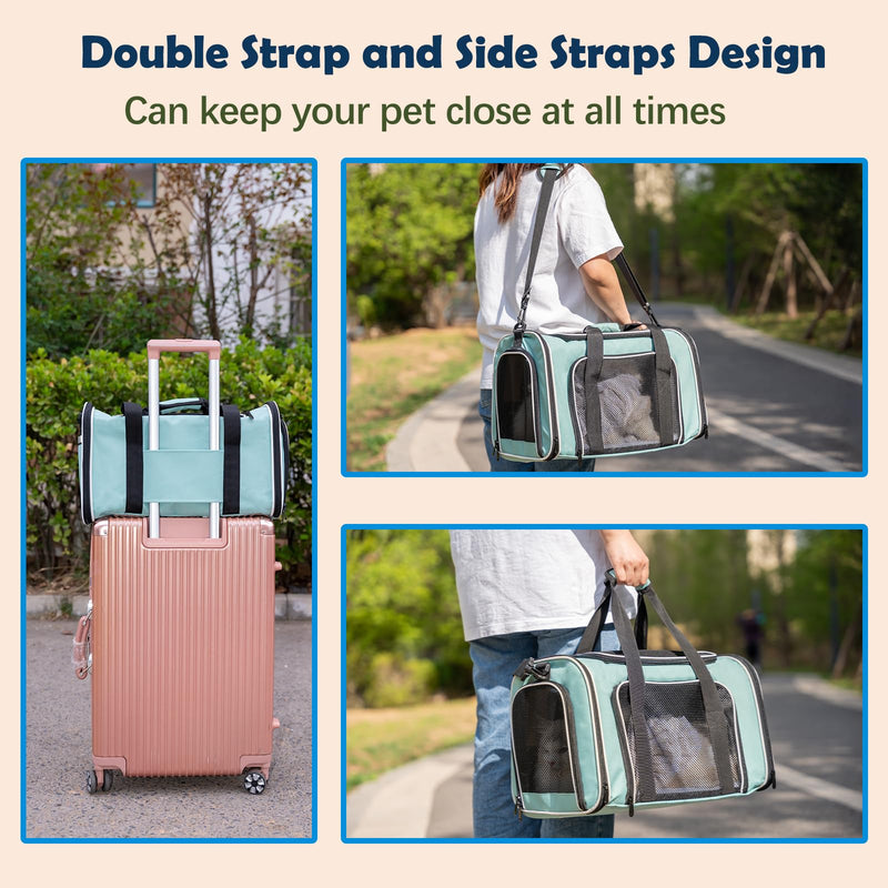 Cat, Dog Carrier for Small Medium Pet Carriers Up to15Lbs, Cats Carrier Soft- Sided Puppy Dogs Bag Portable Foldable Airline Approved Carrier Travel (Green 18 * 11 * 11) 18.0"L x 11.0"W x 11.0"H Green - PawsPlanet Australia