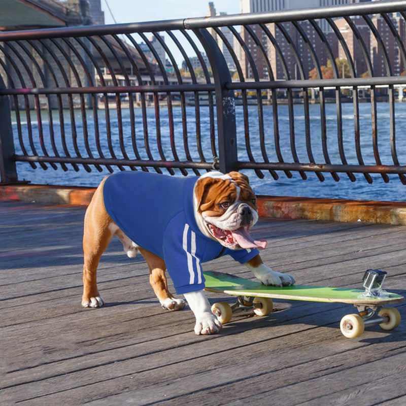 PUMYPOREITY Bulldog Breed Apparel, Dog Hoodie for Big Chest Dogs, for English Bulldogs Frenchies Pitbulls,Comfortable Sweatshirt for Spring/Fall Walks, Blue, L Large - PawsPlanet Australia