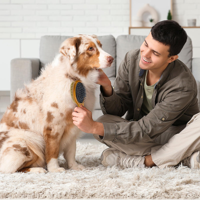 TAKAVU Short Hair Dog Cat Brush, Double-Sided Silicone & Bristle Pet Grooming Brush for Removing Dirt & Loose Hair, Coats Detangling Deshedding, Massage Pet Skin, Wood Handle Pet Comb White Boar Bristle & Silicone Brush - PawsPlanet Australia