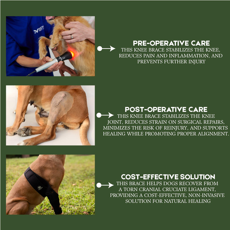 Adjustable Dog Knee Brace for Torn ACL and Luxating Patella - Support for Back Leg, Hip Dysplasia, and Post-Surgery Recovery. Optimal Comfort and Stability for Your Beloved Pet Medium - PawsPlanet Australia