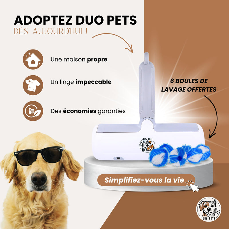Pet Hair Remover Brush for Cats and Dogs on Sofa, Carpets, Clothes, Car, Brush, Duo Pets, Reusable No Refill, Easy Cleaning + Bonus Balls Washing Machine. white/grey - PawsPlanet Australia