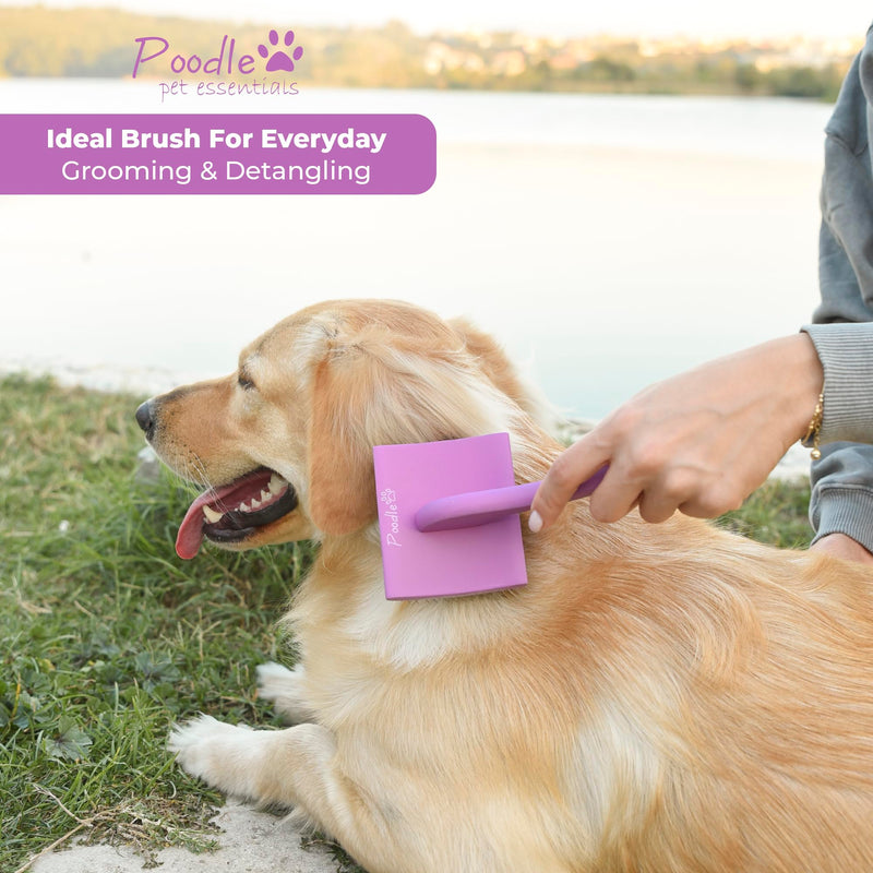 POODLIE Slicker Brush for Dogs - Detangling Dog Brushes for Grooming with Soft Bristles & Long Pins - Professional Cat Deshedding Tool to Removes Tangles & Dirt (Large) Square Large Slicker Brush Purple - PawsPlanet Australia