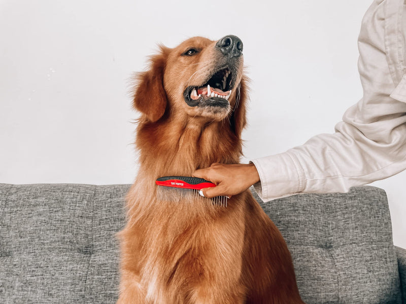 Tuff Pupper Dog Grooming Comb Set | Easily & Safely Remove Matted Knotted Hair | Ergonomic Pet Detangling Combs | No-Slip Safety Handle | Rounded Tips Prevent Scratching | For Poodles & Curly Hair Detangling Combs Set - PawsPlanet Australia