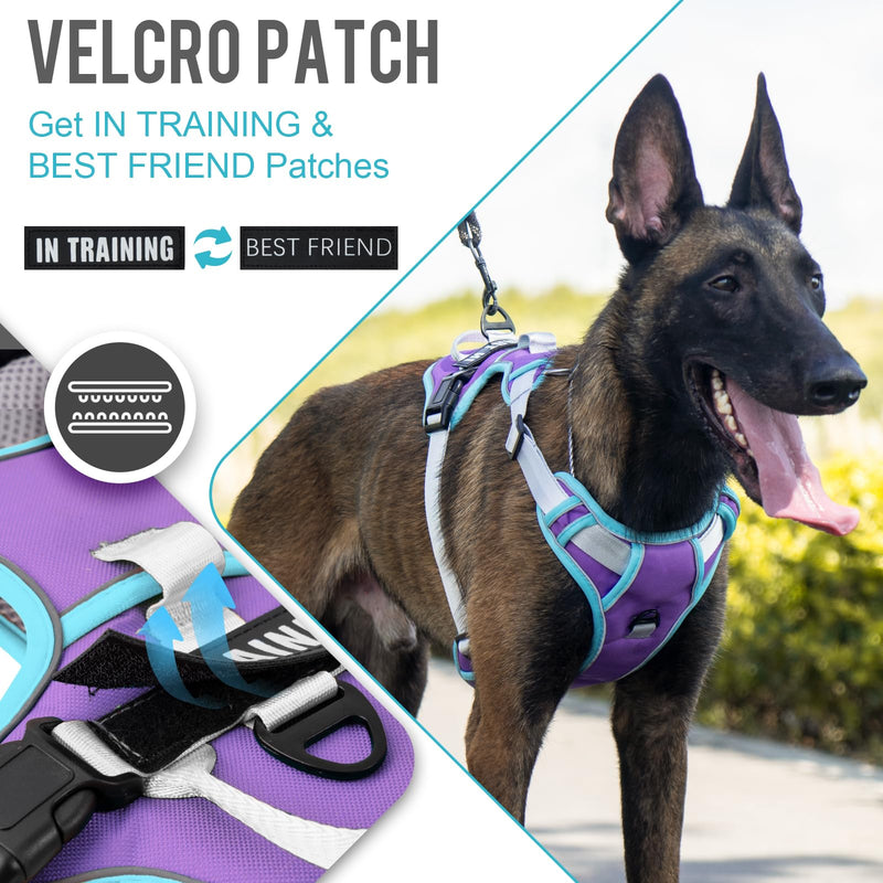 No Pull Dog Harness, Reflective Dog Vest Harness with Front & Back 2 Leash Clips, Oxford Pet Harness Adjustable Soft Padded Dog Vest with Easy Control Handle for Small Medium Large Dogs Small (Pack of 1) Purple - PawsPlanet Australia
