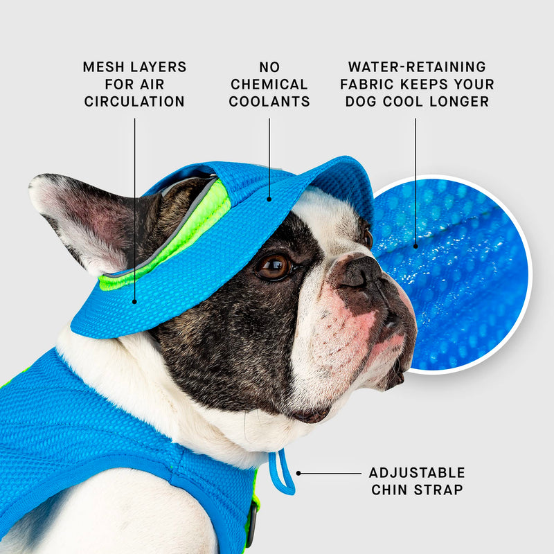 Canada Pooch Cooling Dog Sun Hat - Evaporative Cooling Dog Cap with Breathable Mesh Material for Hot Days, Adjustable Cooling Hat for Dogs Great for Dogs M Blue - PawsPlanet Australia