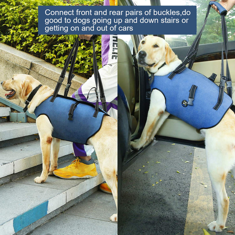 Coodeo Dog Lift Harness, Pet Support & Rehabilitation Sling Lift Adjustable Vest Breathable Straps for Old, Disabled, Joint Injuries, Arthritis, Loss of Stability Dogs Walk Blue Large - PawsPlanet Australia