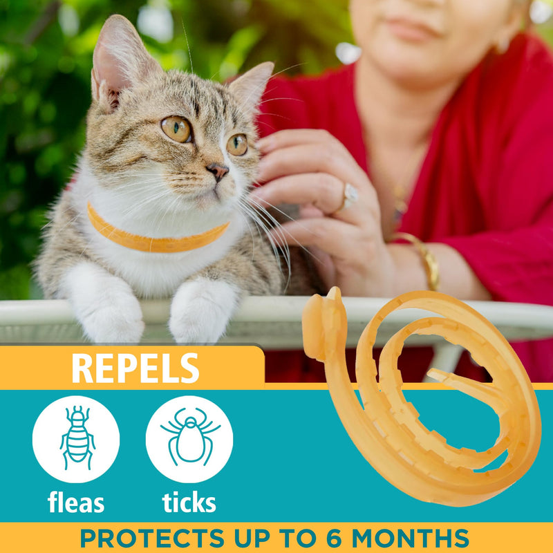 Only Natural Pet EasyDefense Non-Toxic Flea & Tick Cat Collar. Single Collar Protects for 3 Months(Pack of 3) 3 Pack