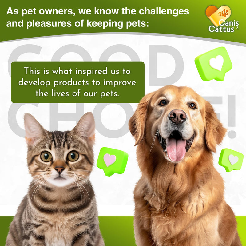 Antibiotics for Dogs | Cat Antibiotic | Pet Antibiotic | Natural Antibiotics for Cats | Dog Antibiotic | Natural Antibiotic for Dogs | Antibiotic for Cats | 2 Oz 1 Pack x 2 Oz - PawsPlanet Australia