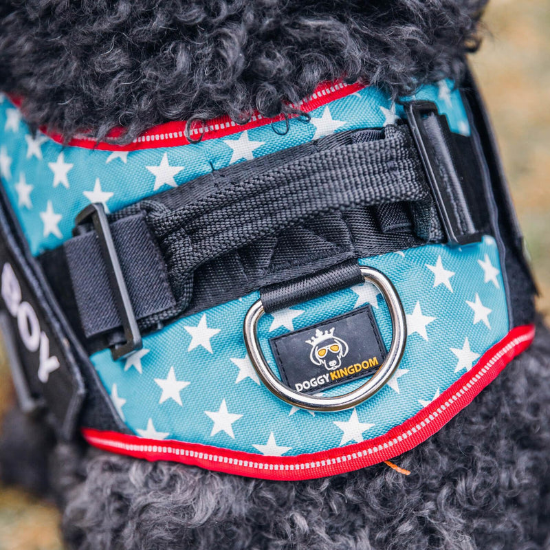 Dog Harness with Patch Panels, No Choke, Reflective, Adjustable, Soft Padded Dog Vest Harness with Easy Control Handle for Large Dogs, Purple, L L (Chest: 26 - 31 in) - PawsPlanet Australia