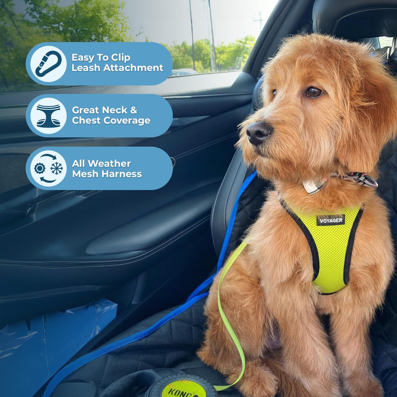 Voyager Step-in Air All Weather Mesh Harness and Reflective Dog 5 ft Leash Combo with Neoprene Handle, for Small, Medium and Large Breed Puppies by Best Pet Supplies - Green, Small S (Chest: 14.5 - 16") Leash Harness Set (Lime) - PawsPlanet Australia