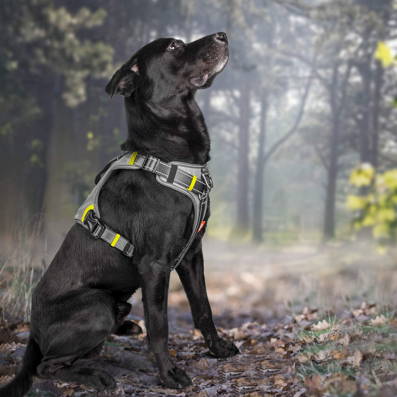 Fida Dog Harness, Multi-Functional No-Pull Pet Vest Harness with Saddle Bags Backpack, Front Leash Clip, Adjustable Soft Padded Reflective No-Choke Dog Vest Heavy Duty for Large Dog, L, Black Large (Neck:18"-26";Chest:27"-34") - PawsPlanet Australia
