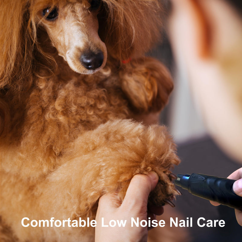 murr Dog nail grinder, electric rechargeable 2 speed dog nail trimmer with LED light, quiet cordless dog nail file, pet claw grinder for grooming, black - PawsPlanet Australia