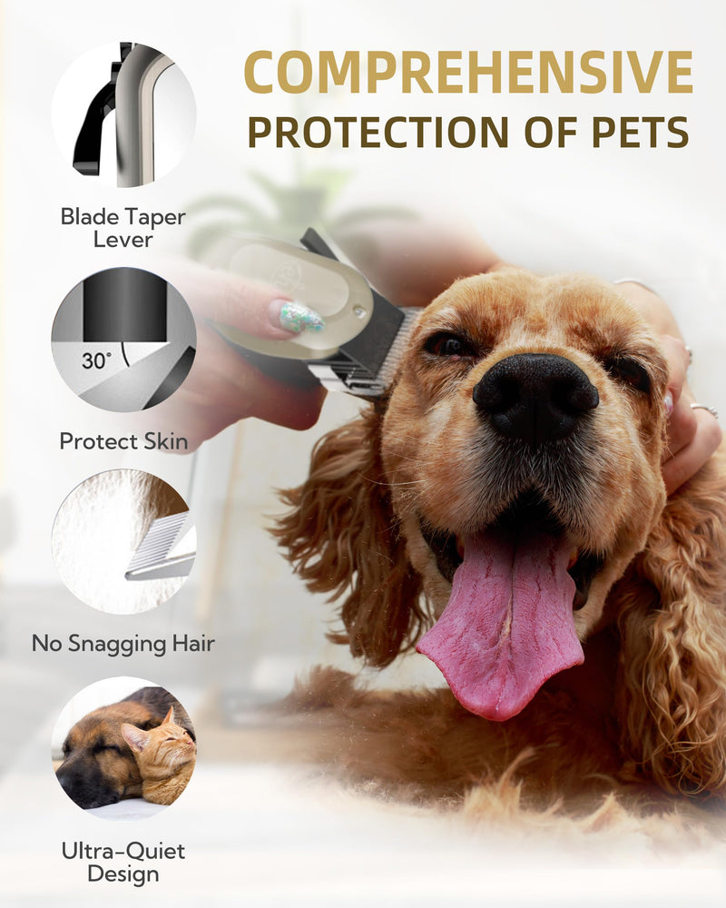Dog Clippers for Grooming with 12V High Power Plug-in for Thick Heavy Coats Quiet, Pet Electric Professional Hair Grooming Clippers kit with 10 Metal Guard Combs Brush for Dogs Cats Pets (Gold) Gold - PawsPlanet Australia
