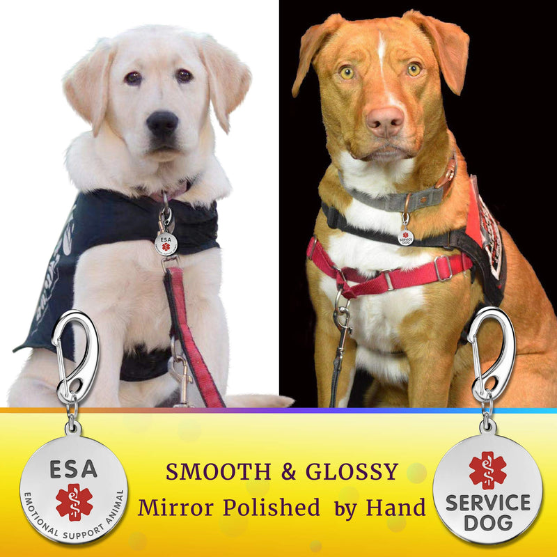 1" Stainless Steel Double Sided Service Dog Medical Alert Tag w/Hard Enamel and Quick Clip - Attach to Dog Collar or Harness Quickly and Securely - PawsPlanet Australia