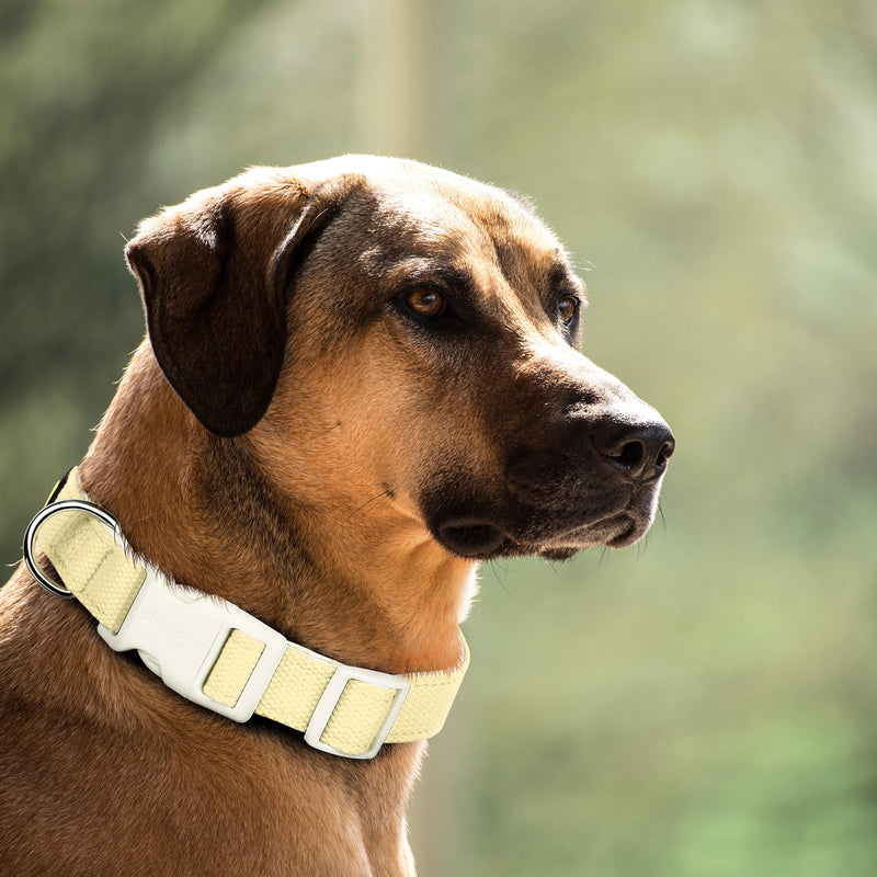 Plutus Pet Cotton Dog Collar, Heavy Duty Collar with Soft Padding, Adjustable and Comfortable for Small Medium and Large Dogs, Light Yellow, S - PawsPlanet Australia