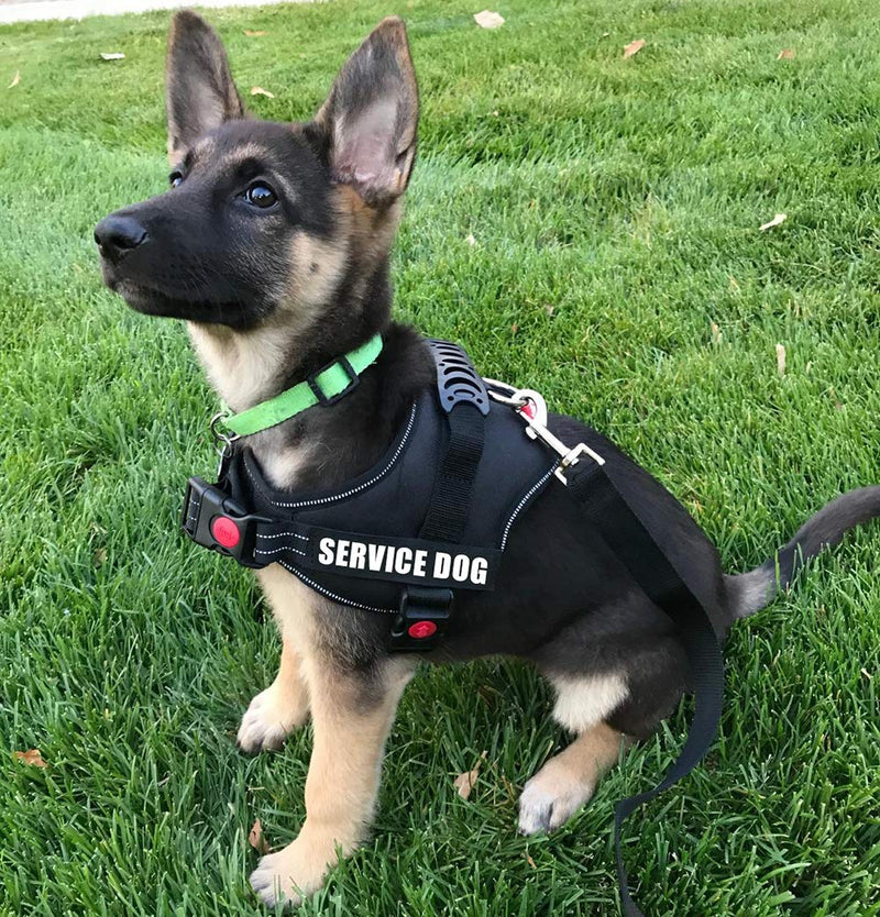 Fairwin Service Dog Vest-No-Pull Dog Harness with Handle Adjustable Reflective Patches in Training Vest Harness for Small Medium Large Breed Outdoor Walking S: chest 20-25’’; neck 16-20’’ Black - PawsPlanet Australia
