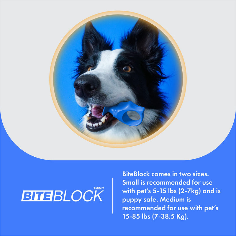 Dog Toothbrush and Bite Block Assistant Combo Pack by Paw Ready for Puppies' Dogs and Cats Small Size for use with Pets Between 5-15 lbs. (2-7kg) Protects Hands and Fingers While Brushing 1 Count (Pack of 1) Blue