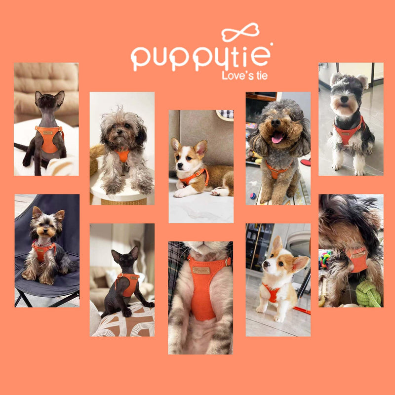 Puppytie No Pull xs Dog Harness with Multifunction Dog Leash,Soft Adjustable No Choke Escape Proof Pet Harness Vest,Orange,XS Orange XS(4.5-11lb? - PawsPlanet Australia