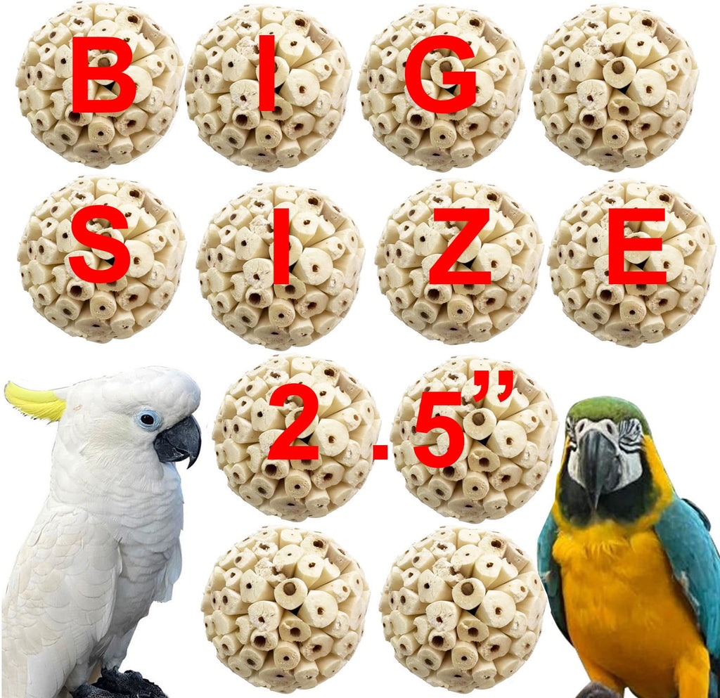 12 Pack big size 2.5" Sola Ataa Bird Toy Interactive and Durable Play Ball Toy for Parrots Cockatiels Pet Birds