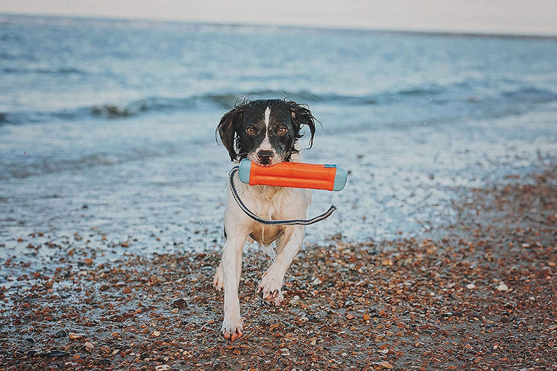Chuckit Amphibious Bumper Fetch and Float Dog Toy, Medium (Assorted Colors) 1 - PawsPlanet Australia