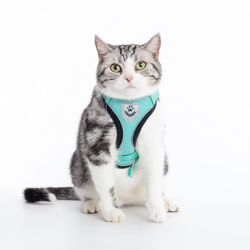 PUPTECK Cat Harness and Leash Set Escape Proof Reflective Cat Walking Harness Adjustable Soft Breathable Mesh Vest for Small Pets, Aquamarine, S S (NECK 9.5"-11", CHEST 13"-16")