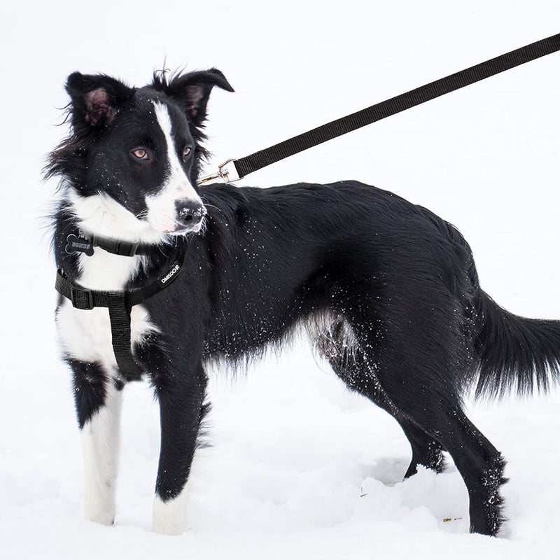 No Pull Dog Harness - Adjustable Step-in Harness & Leash Set for Small, Medium, Large Dogs - Escape Proof Soft Pet Harness for Walking, Training, Hiking, Outdoor Activities LARGE (chest: 23.4"-31" neck: 14"-20" ) Black - PawsPlanet Australia