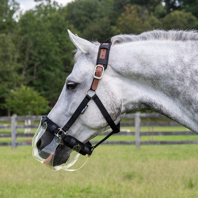 Thinline Turnout Halter for Use with Grazing Muzzle | Horse Equine Safe Comfortable Adjustable Breakaway Halter - Size Options Small Pony