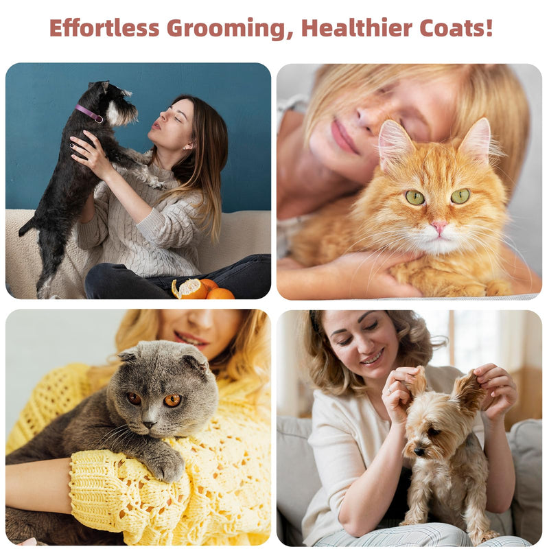 3PCS Cat & Dog Brush Set: Slicker & Deshedding Brush, Dematting Comb, and Bath Brush – Premium Grooming Tools for Shedding & Tangle-Free Fur (blue) blue - PawsPlanet Australia
