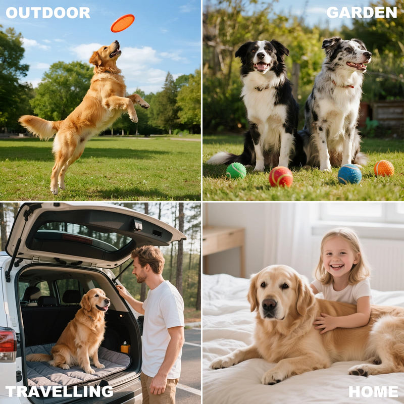 Mr Hsiung & Mrs Yin Pet Glove Wipes for Dogs & Cats (6-Count) - Hypoallergenic Cat Cleaning Wipes, Water-Based & Fragrance-Free Pet Wipes for Gentle Cleaning of Paws, Body & Fur - PawsPlanet Australia