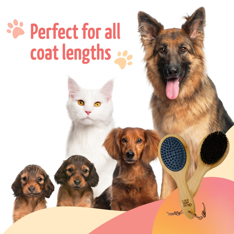 The Buddy System Combo Bristle Pet Brush, 2-in-1 Brush, Durable Rubber Side and Soft Boar Bristle Side - All Pets and Coat Lengths - Top Coat Massage for Cats & Dogs - 1 Pack