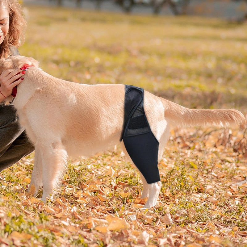Dog Acl Brace Hind Leg,Dog Knee Brace for Torn Acl Hind Leg (Universal Front and Rear Legs),Adjustable Dog Knee Brace for Acl Tears, Hip Dysplasia, Osteoarthritis and Ligament Injuries (L) L - PawsPlanet Australia
