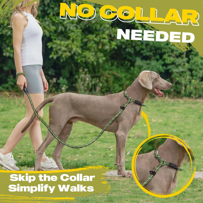 Fida Durable Slip Lead Dog Leash Bulk Pack of 5, Heavy Duty 1/2" x 6 FT Comfortable Strong Rope Slip Lead for Large, Medium & Small Dogs No Pulling Pet Training Leash with Highly Reflective (Mixed) Large(1/2"-6ft-pack of 5) Mixed Color - PawsPlanet Australia