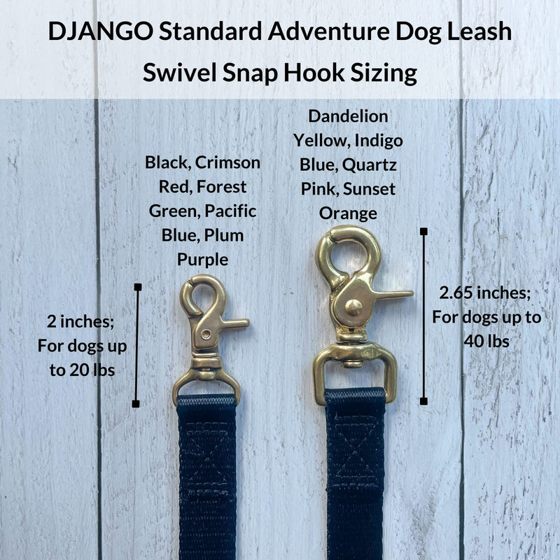 DJANGO Adventure Dog Leash – Strong, Comfortable, and Stylish Dog Leash with Solid Brass Hardware and Padded Handle - Designed for Outdoor Adventures and Everyday Use (Crimson Red) Crimson Red - PawsPlanet Australia