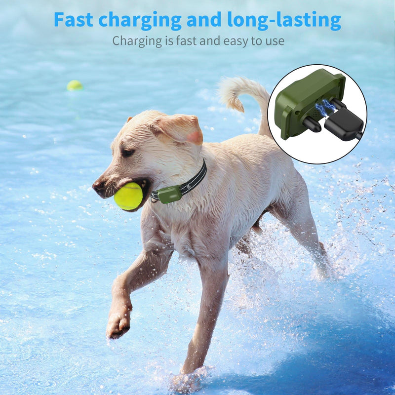 MEROM for Jugbow Dog Shock Collar Charger Replacement, Power Cable Compatible with Jugbow Dog Training Collar, 2-in-1 Magnetic Charging and USB Type C Cable (Cable) - PawsPlanet Australia
