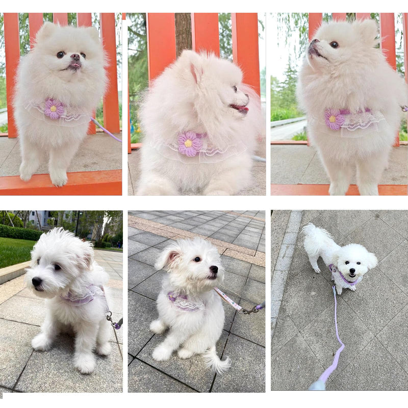 Cat Harness Collar and Leash Set, Sweet Lace Floral Kitten Collar, Escape Proof Puppy Chest Harness, Adjustable Cute Harness Leash Set for Cat Puppy Dog Outdoor Walking (Purple, S) Purple - PawsPlanet Australia