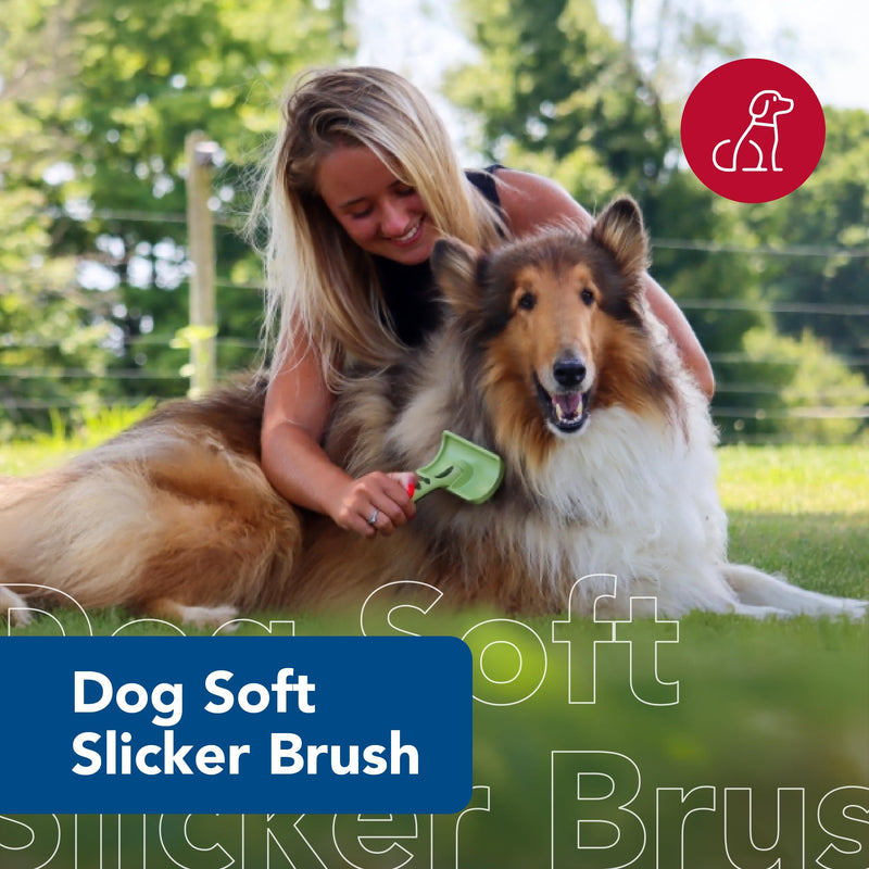 Coastal Pet Safari Dog Soft Slicker Brush - Dog Grooming Brush for Shedding - for Dogs with Short, Medium and Long Hair - Small - 6.5" x 2.5" No Color - PawsPlanet Australia