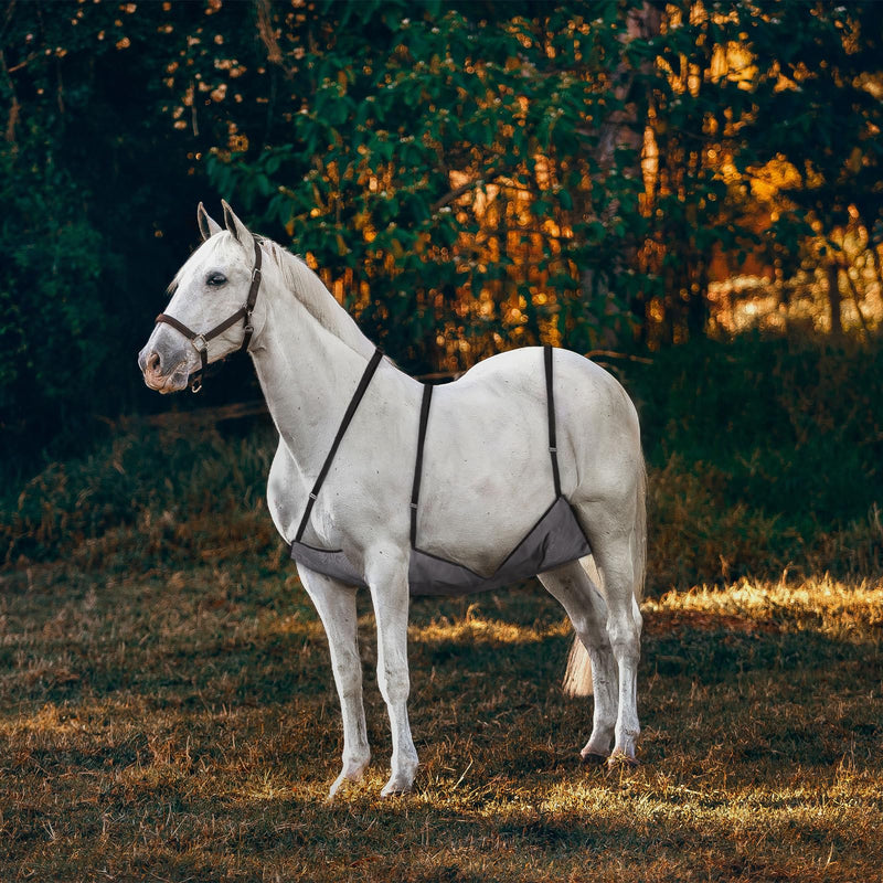 Totority Comfort Mesh Horsefly Sheet Flight Mesh net Horse Abdomen Protective Cover Apron Equestrian Supplies Adjustable Protective Cover Aquarium Bottom Grid Magna Guard for Horses Grille Breathable - PawsPlanet Australia
