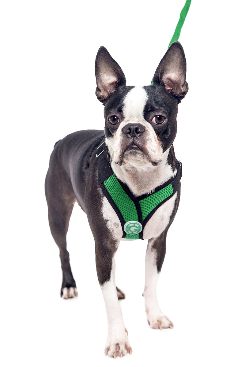Gooby - X Harness, Small Dog Choke Free Step-in Harness with Synthetic Lambskin Soft Strap, Hunter Green, Large Large chest (17-20") - PawsPlanet Australia