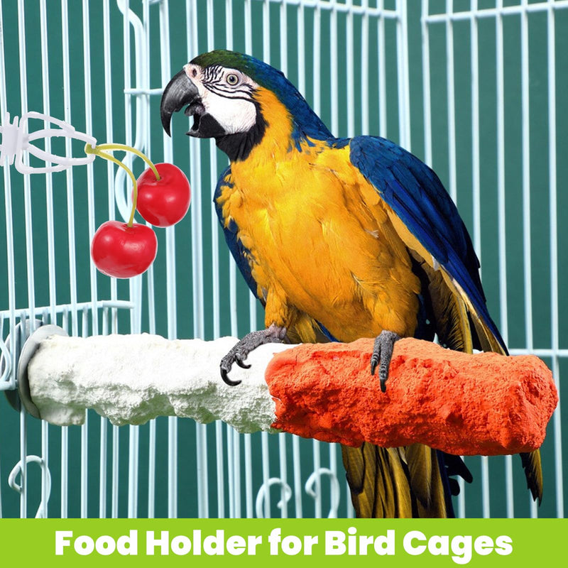 10 Pcs Bird Cage Food Holder, Millet Holder for Bird Cage, Parrot Fruit Vegetable Clips Plastic Birds Cages Feeder Clip for Budgie Parakeet Cockatoo Macaw Cockatiel Conure Budgie Treats Cages - PawsPlanet Australia